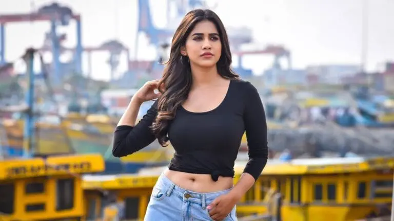 Nabha Natesh gets a big break!