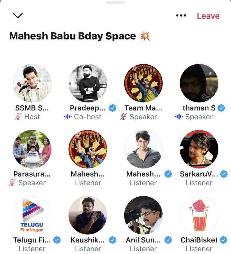 Superstar Mahesh Babu Birthday Space- One of its kind massive celebration