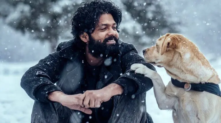 777 చార్లీ చిత్రం చూసి కంటతడి పెట్టుకున్న కర్ణాటక ముఖ్యమంత్రి