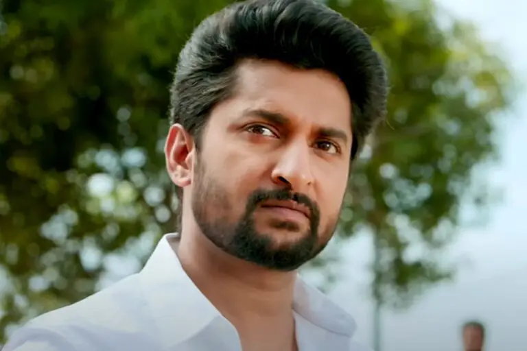 Nani’s Downfall From Upcoming Star Hero To A Low-Level Mid-Tier Hero