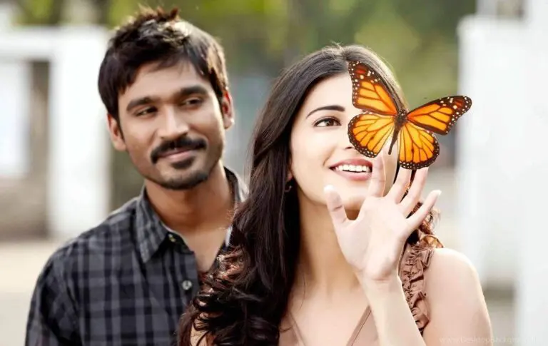 ధనుష్ 3 సినిమా స్పెషల్ షోలకు అద్భుతమైన స్పందన