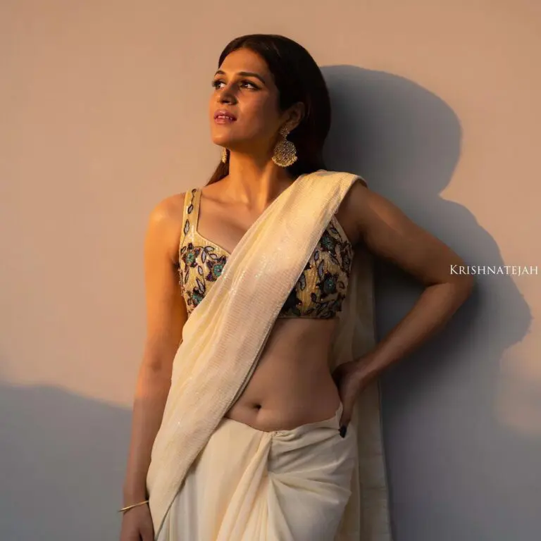 Shraddha Das Beautiful Pics in saree