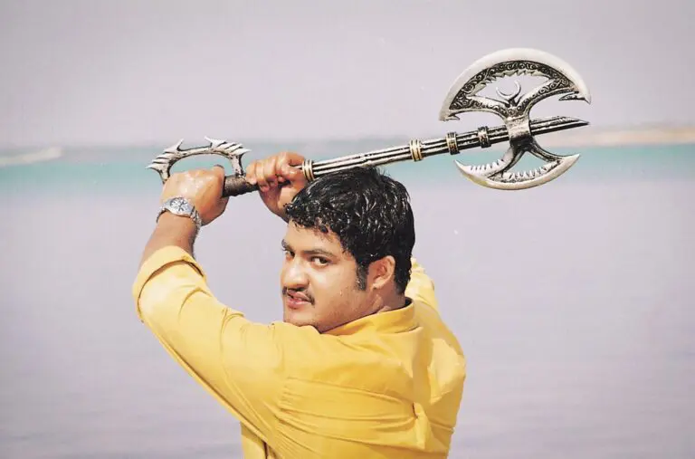 Simhadri: సింహాద్రి సినిమాని ఇండస్ట్రీ హిట్ అని జోరుగా ప్రచారం చేస్తున్న ఎన్టీఆర్ ఫ్యాన్స్