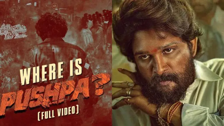 Allu Arjun fans worried about Pushpa 2 release delays