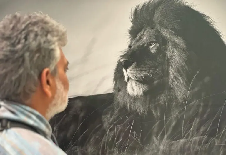 Rajamouli Elevated Mahesh Babu to the Peak Level SSMB 29 : మహేష్ ని శిఖరం లెవెల్లో ఎలివేట్ చేసిన జక్కన్న