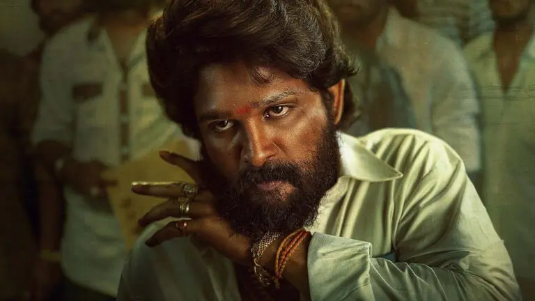Pushpa 2 Hindi gross storms past 800 crores