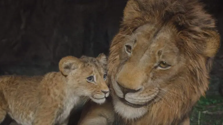 Mufasa The Lion King Arrives on Jio Hotstar – Here’s What You Need to Know