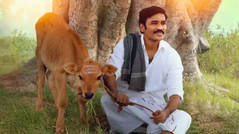 Record Viewership for Idli Kadai on Netflix