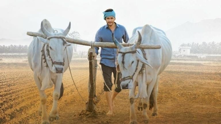 Maharshi 1st Day Worldwide Collections