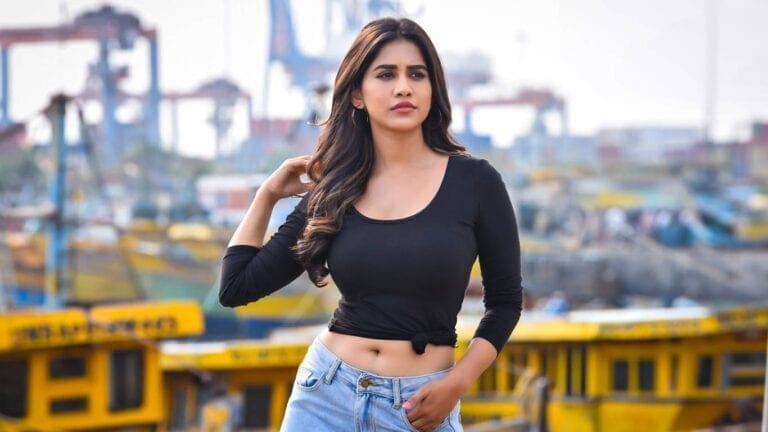 Nabha Natesh Roped In For Blockbuster Remake