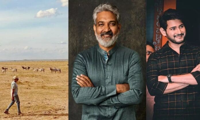 SSMB29 Trailer launch on November 15th. Globetrotter reveal goes big with a massive trailer release on November 15th. A couple of days ago, Keeravani suddenly dropped a blasting song. Shruti Haasan, who sang the song, will reportedly do a live performance of the song at the event, much to the excitement of fans. But Rajamouli's surprises do not end here, as Jio Hotstar says that a grand trailer will be revealed on 15th November.